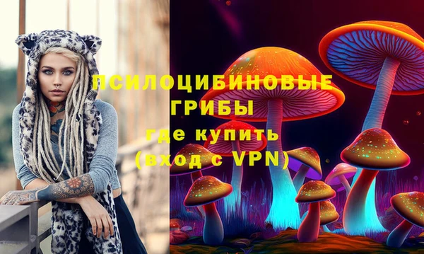 индика Верхнеуральск