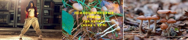 соль курить ск Верея