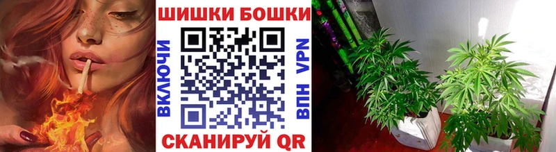 Конопля Amnesia  Нижневартовск 